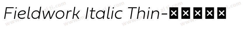 Fieldwork Italic Thin字体转换